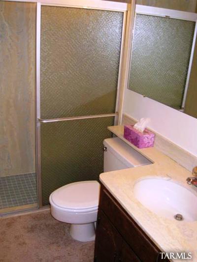 5 East Pastime Road Tucson, AZ 85705 - Photo 19 of 25 a bathroom with a sink a toilet and a mirror