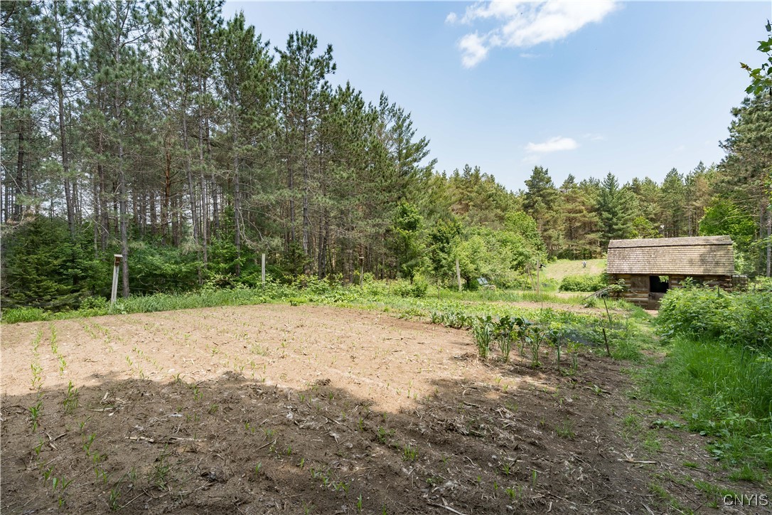 6372 George Hill Watson, NY 13343 - Photo 46 of 50