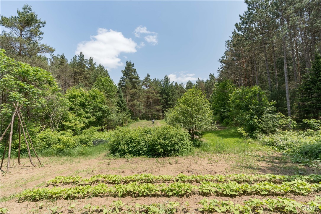 6372 George Hill Watson, NY 13343 - Photo 47 of 50