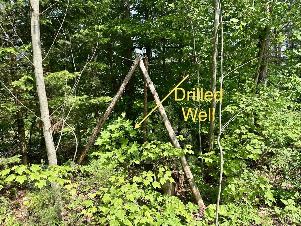 6372 George Hill Watson, NY 13343 - Photo 50 of 50