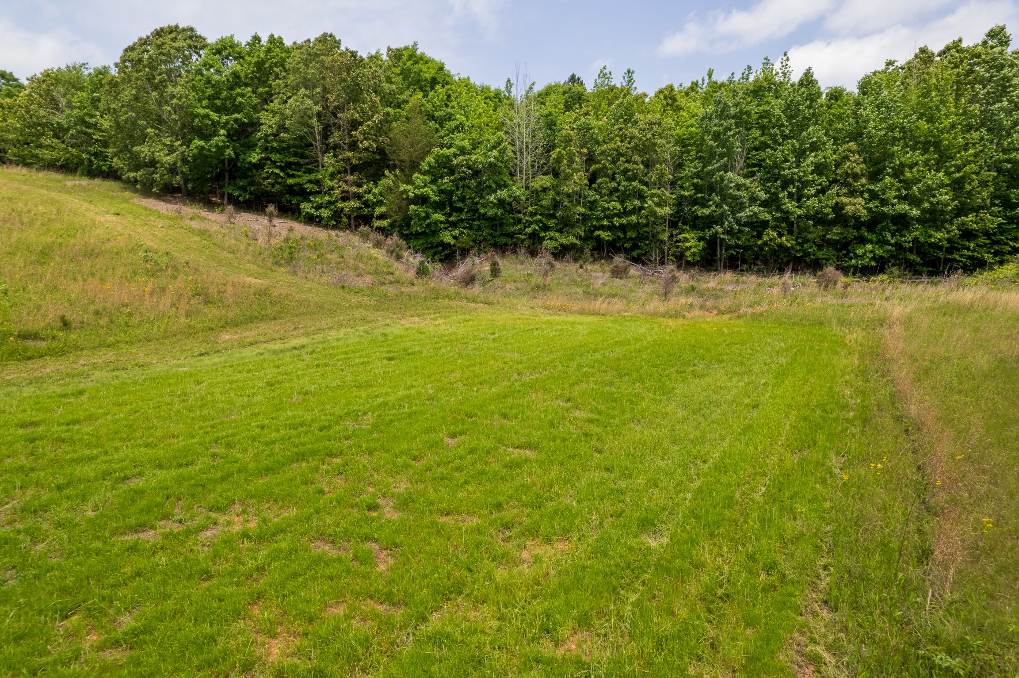 0 Pearson Road Cedar Grove, TN 38321 - Photo 3 of 21