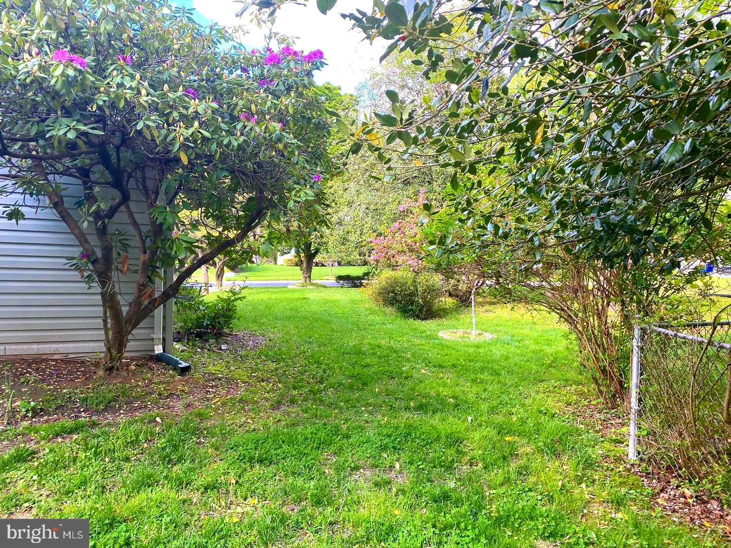 1708 Woodwell Road Silver Spring, MD 20906 - Photo 37 of 39 More Treed Landscape
