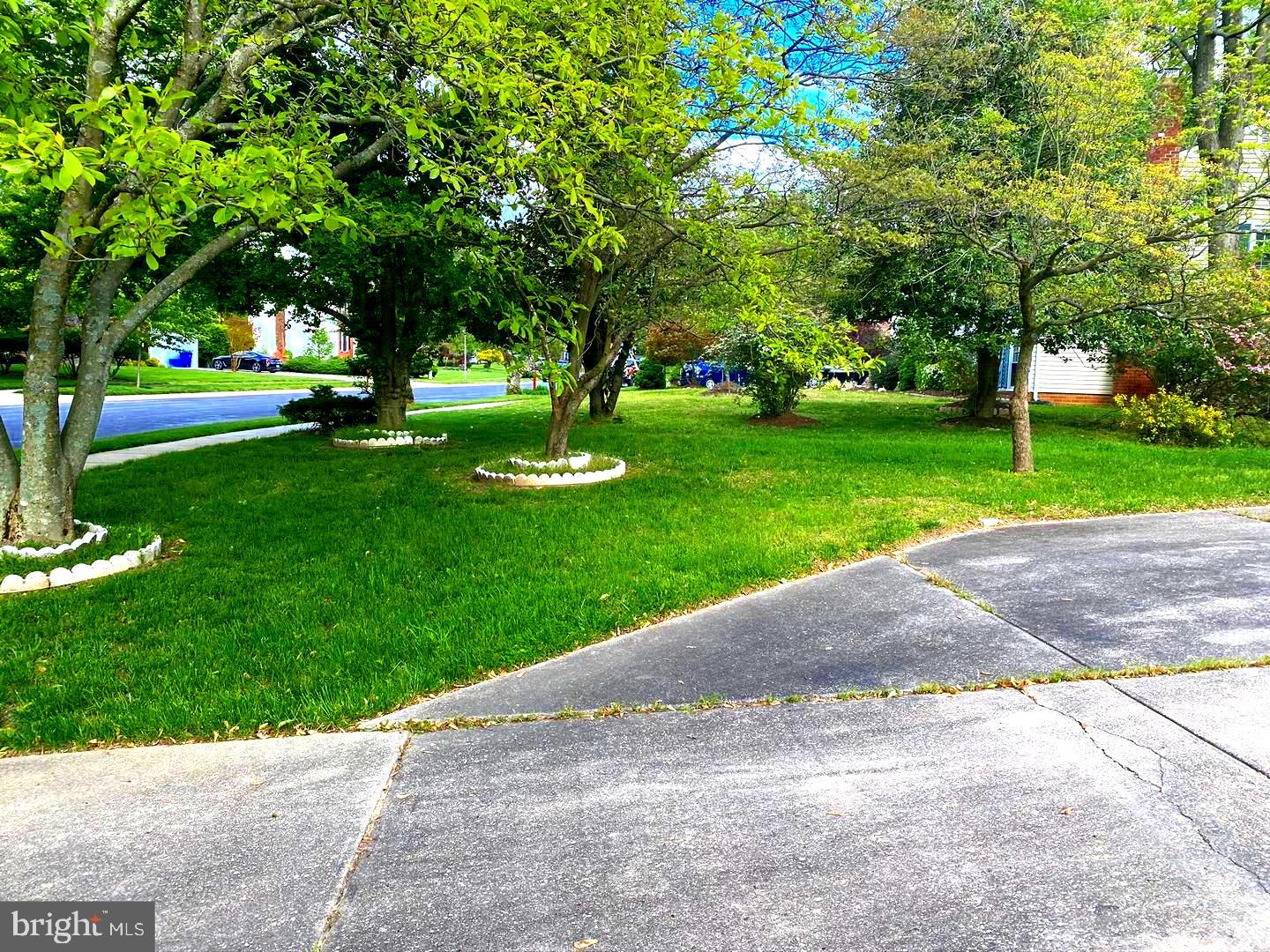 1708 Woodwell Road Silver Spring, MD 20906 - Photo 38 of 39 More Trees - Driveway