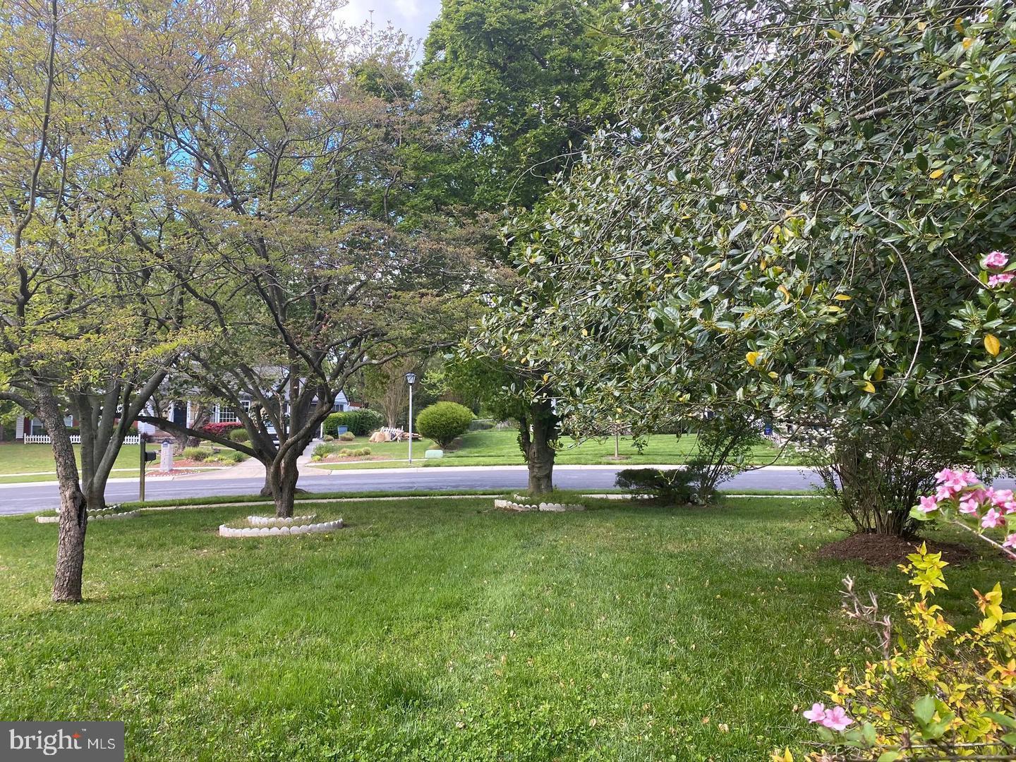 1708 Woodwell Road Silver Spring, MD 20906 - Photo 39 of 39 This is an Abundant Universe-a peaceful view.