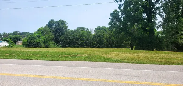 a view of a yard
