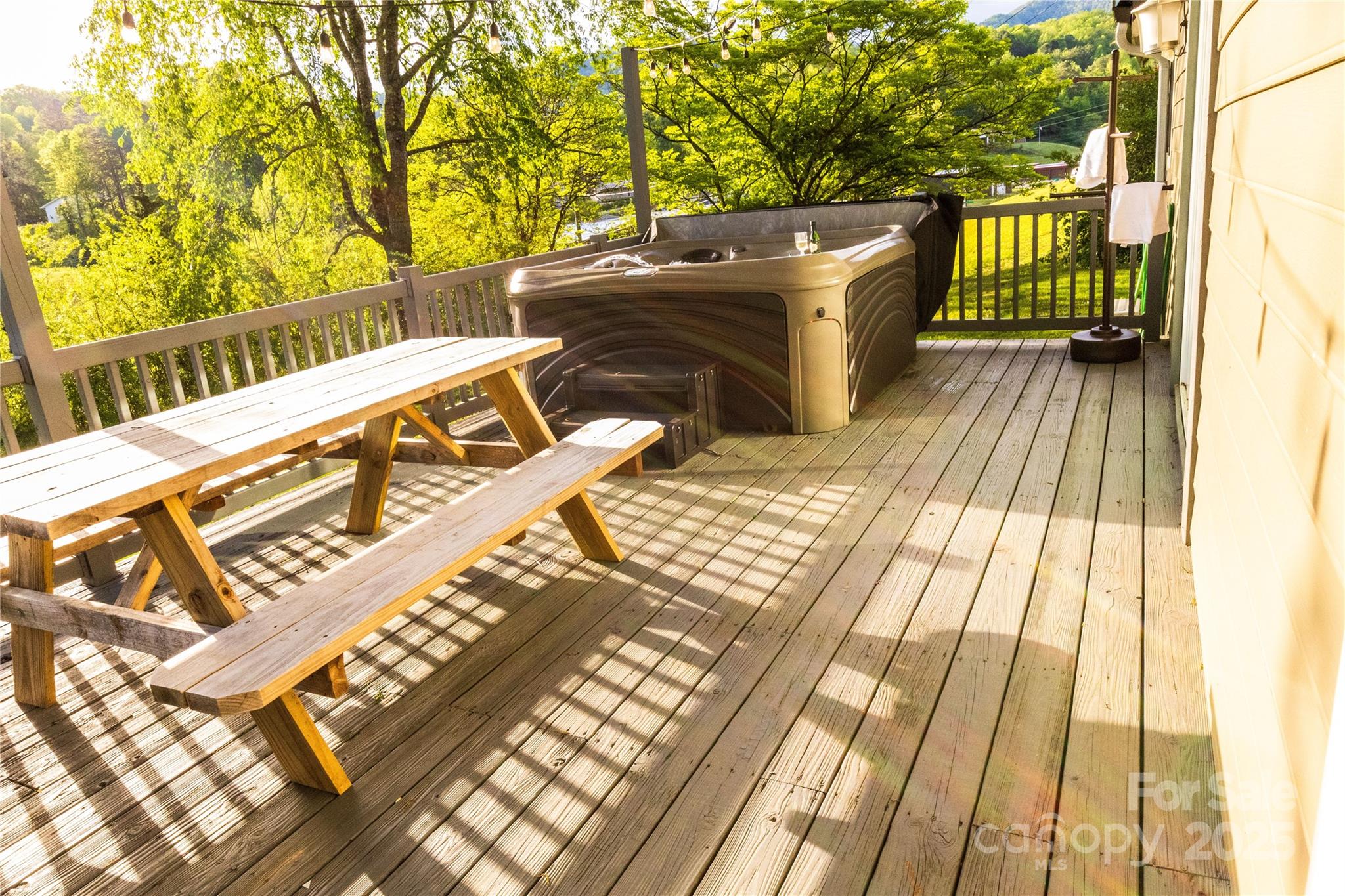 540 Toot Hollow Road Bryson City, NC 28713 - Photo 7 of 47