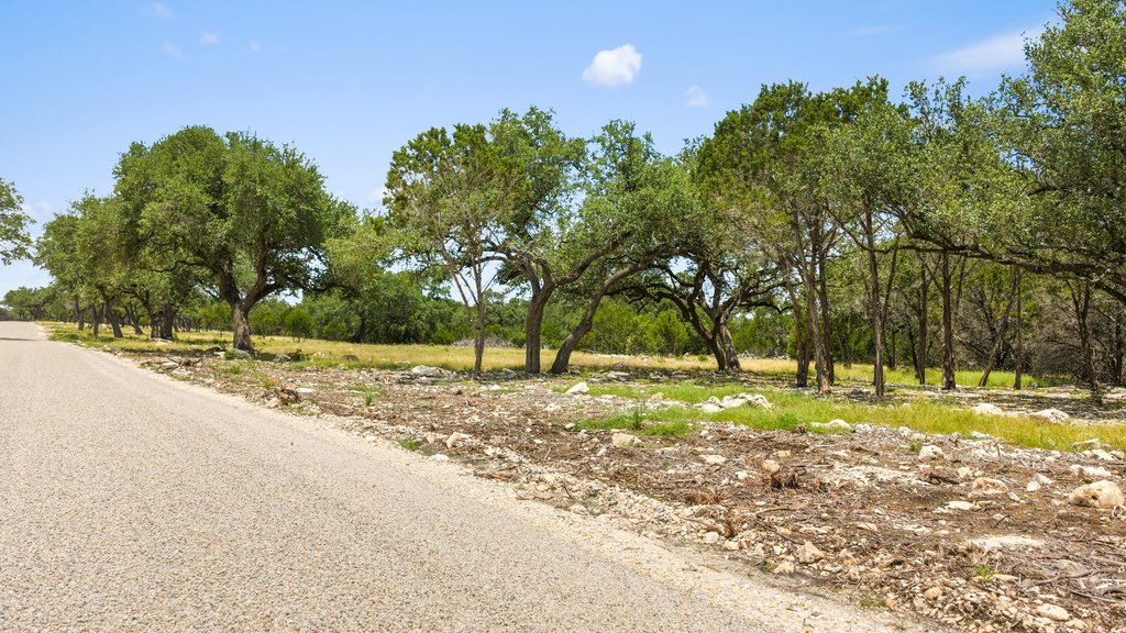 5 Cypress Cove Road Spring Branch, TX 78070 - Photo 13 of 17 Mature trees line the paved road of this natural countryside property under blue skies.