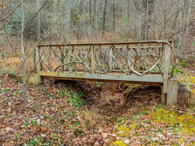 a view of a park with large tree