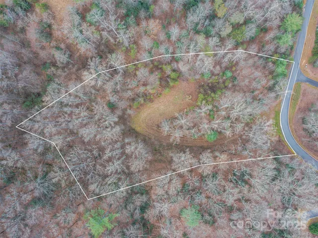 a view of a dry yard