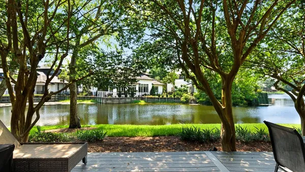 a view of a lake with a large trees