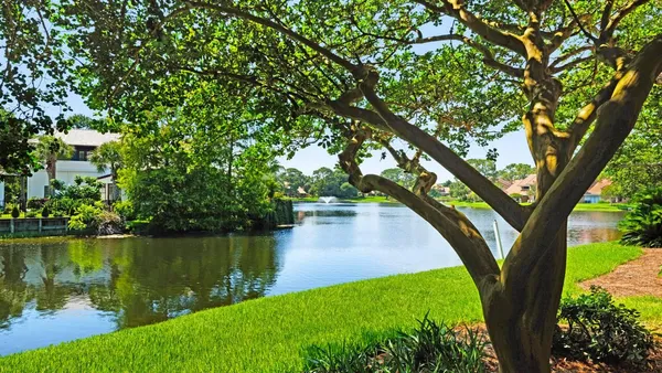 a view of a lake with a large trees