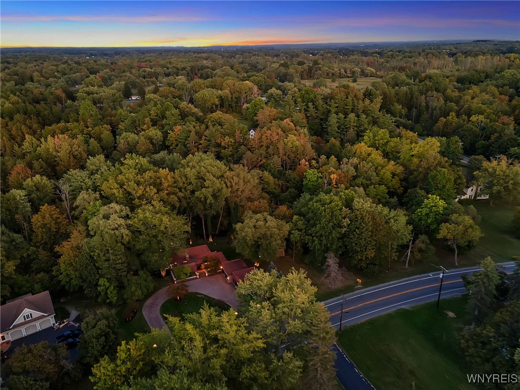 2541 Bowen Road Elma, NY 14059 - Photo 50 of 50