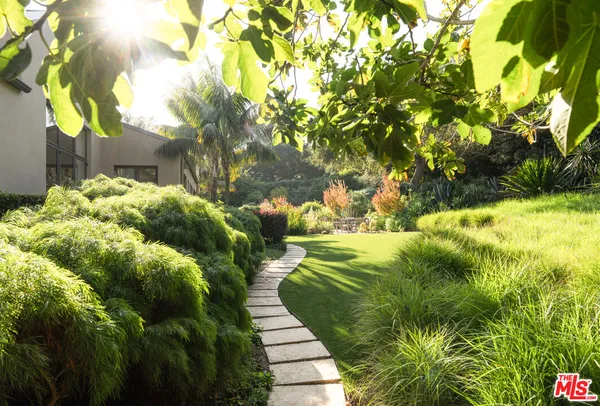 a view of a yard with plants