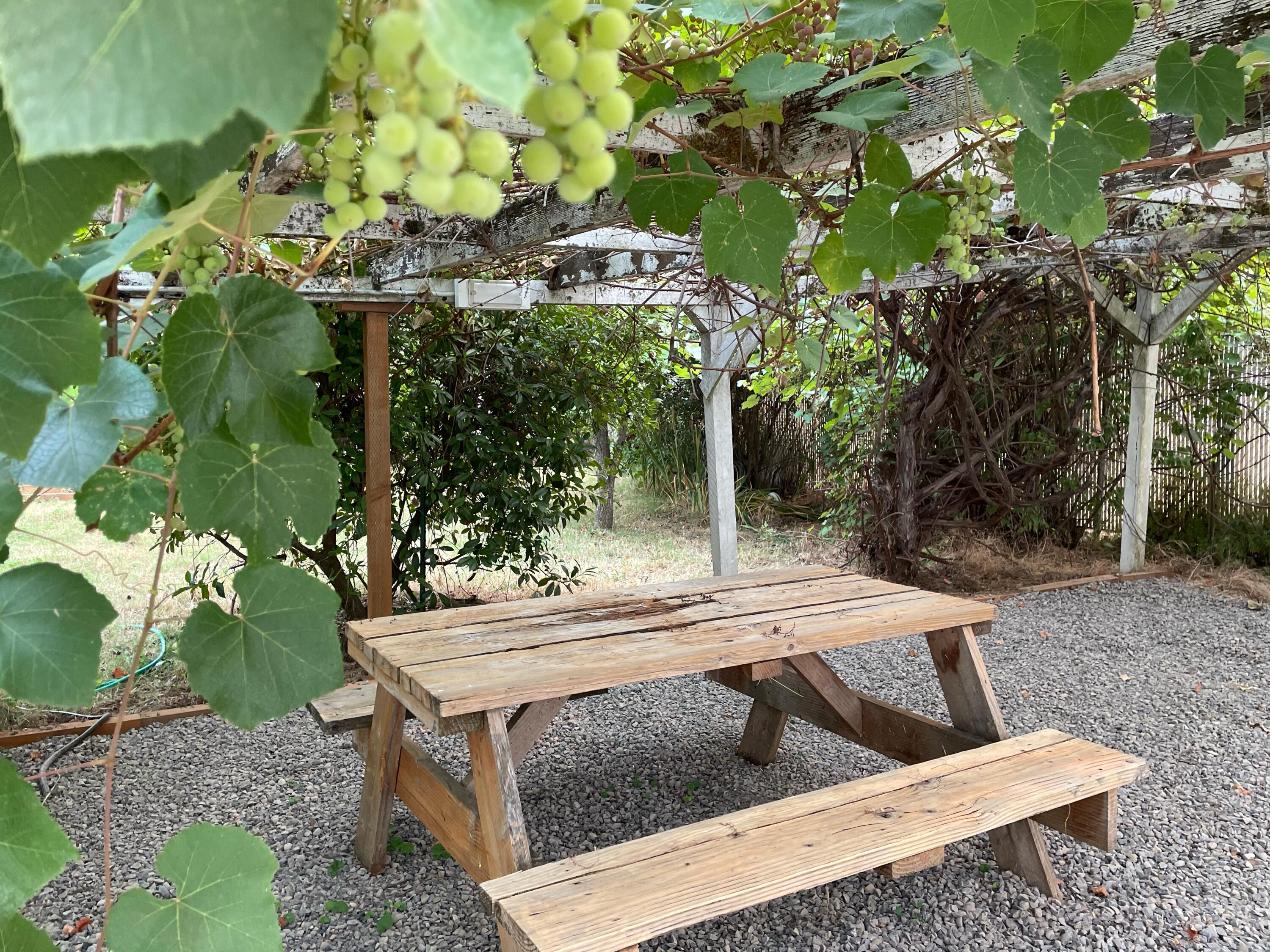1196 Spring Street Medford, OR 97504 - Photo 16 of 16 backyard