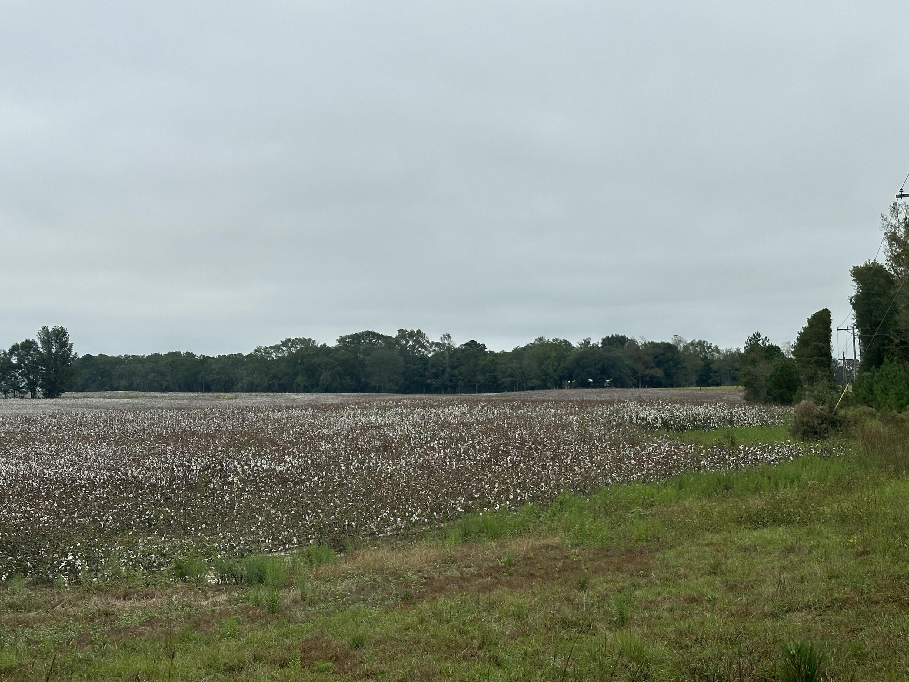 B D1-d2 B D1-d2 Millside Road Laurel Hill, FL 32567 - Photo 3 of 17 2