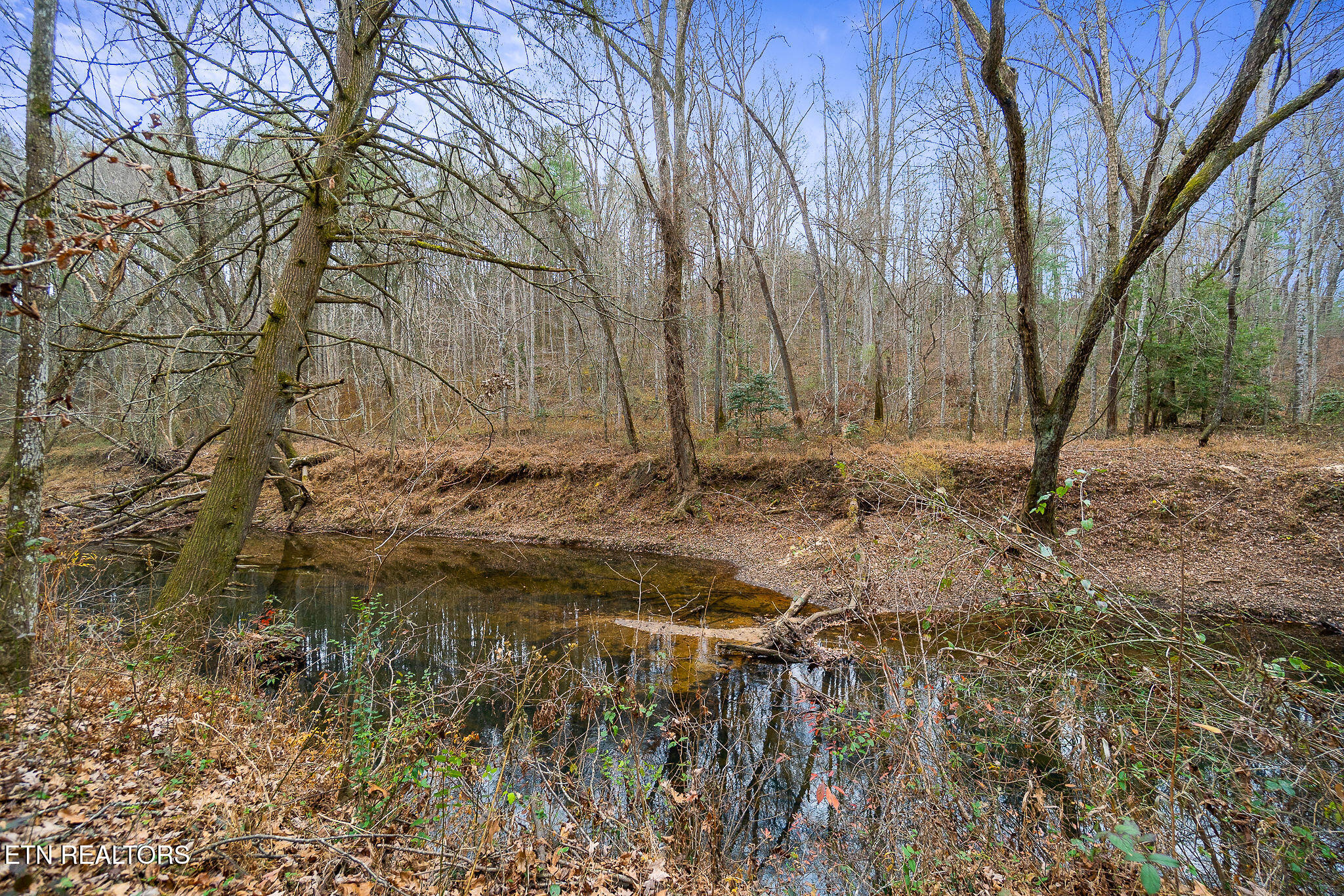 3.64-acres Open Range Road Crossville, TN 38555 - Photo 11 of 27 Daddy's Creek