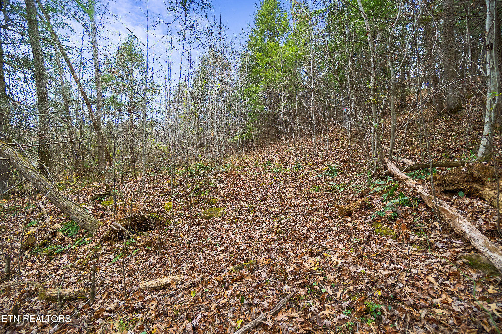3.64-acres Open Range Road Crossville, TN 38555 - Photo 13 of 27 Wooded Trail