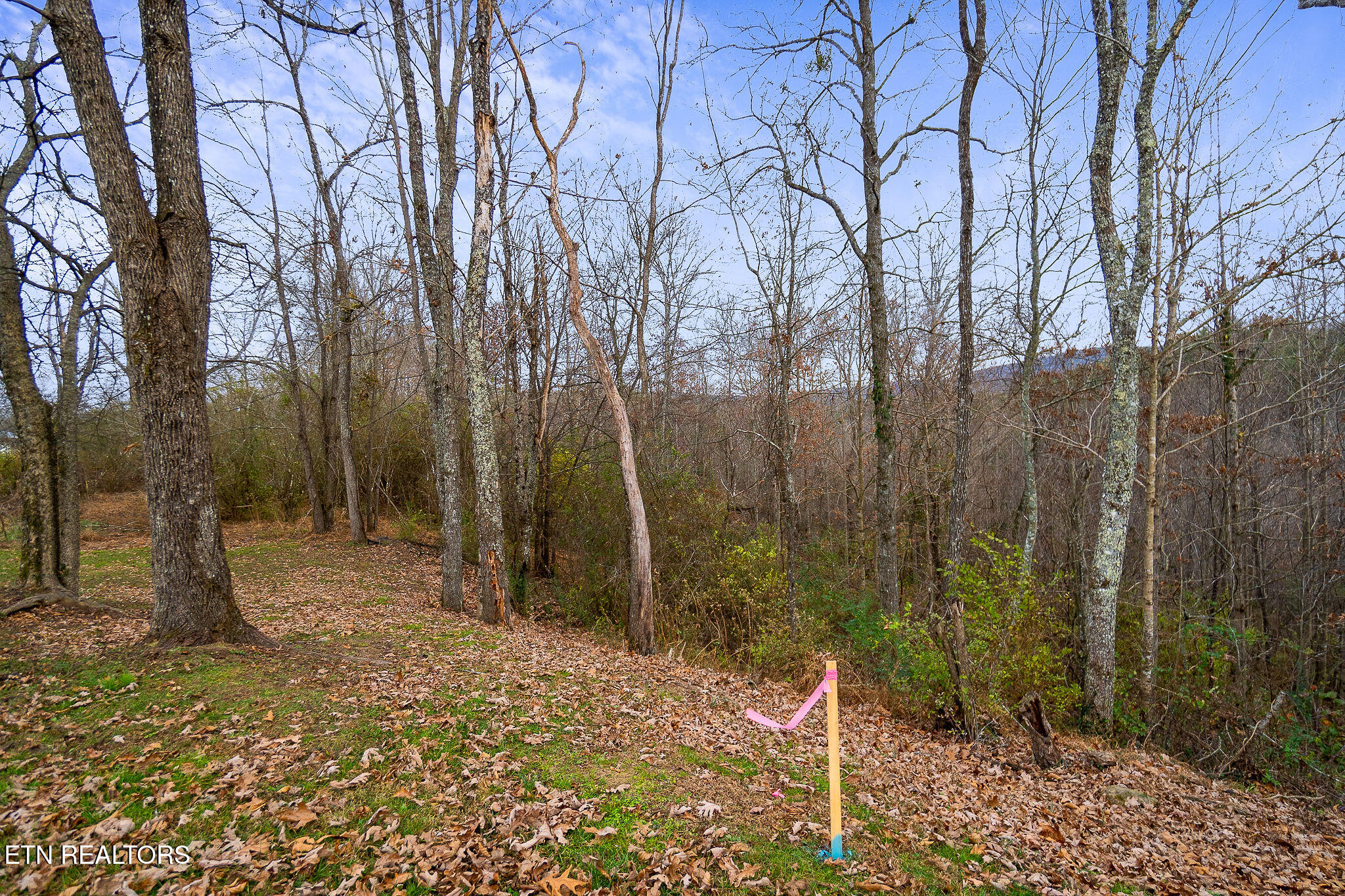 3.64-acres Open Range Road Crossville, TN 38555 - Photo 17 of 27 Survey lines