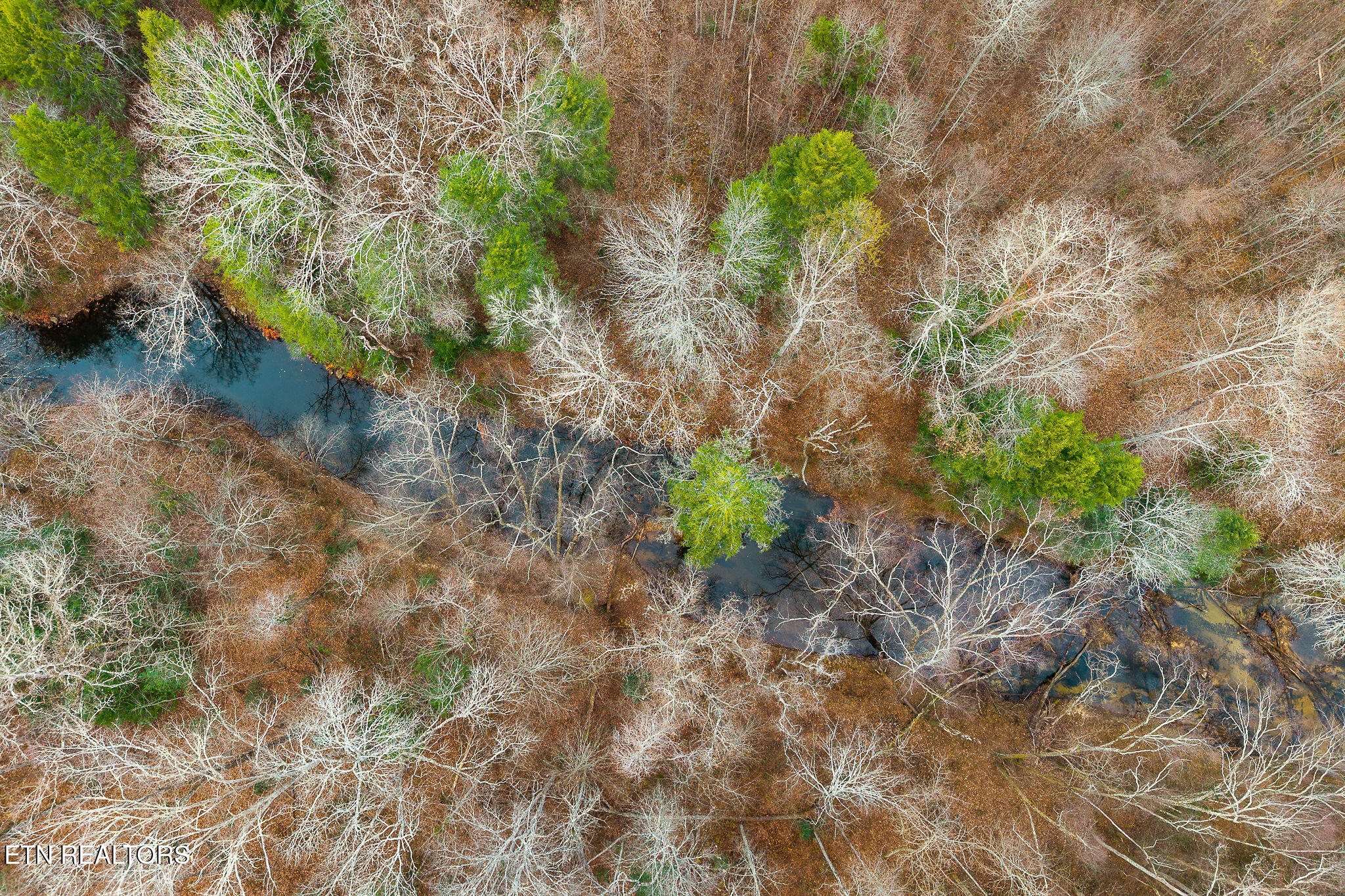3.64-acres Open Range Road Crossville, TN 38555 - Photo 8 of 27 Daddy's Creek