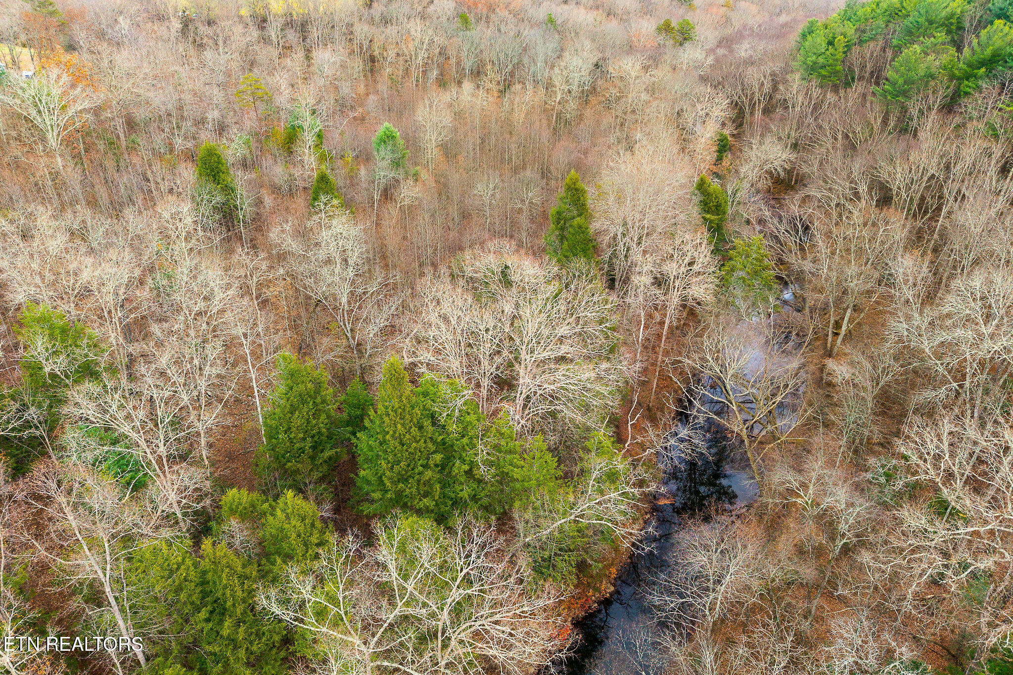 3.64-acres Open Range Road Crossville, TN 38555 - Photo 10 of 27 Daddy's Creek