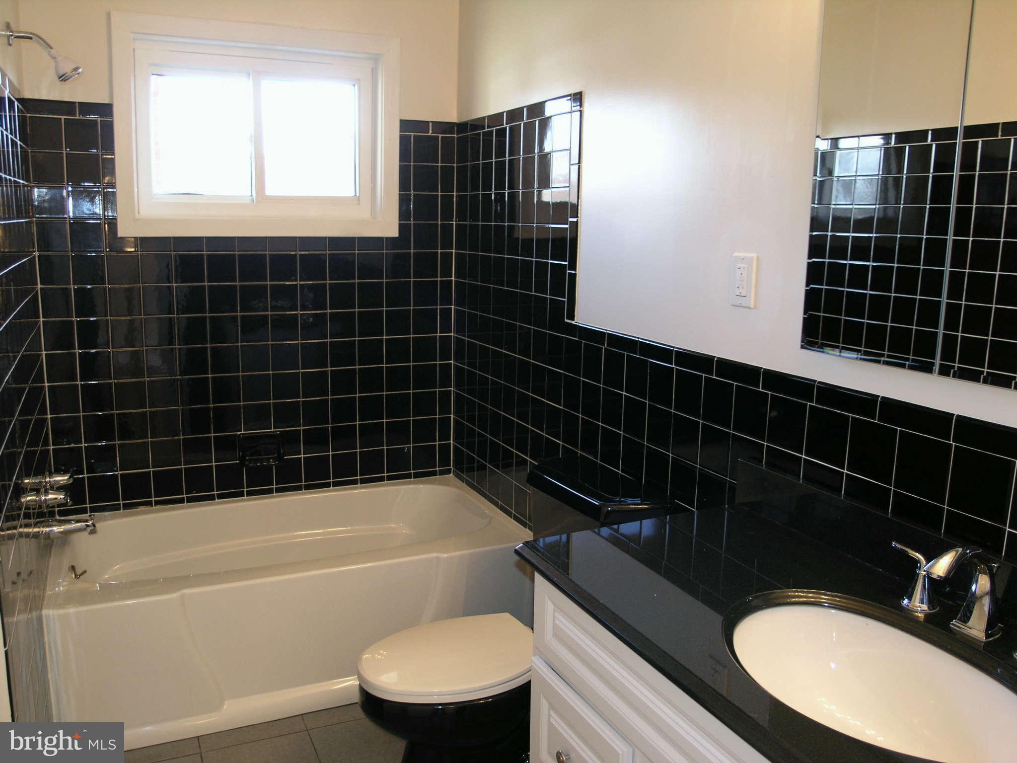 2011 Cascade Road Silver Spring, MD 20902 - Photo 22 of 24 a bathroom with a sink toilet and shower