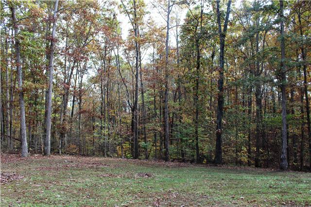 2372 Grays Bend Road Centerville, TN 37033 - Photo 3 of 12 Rear Wooded Lot