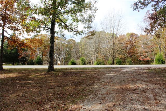 2372 Grays Bend Road Centerville, TN 37033 - Photo 4 of 12 View From Front Yard