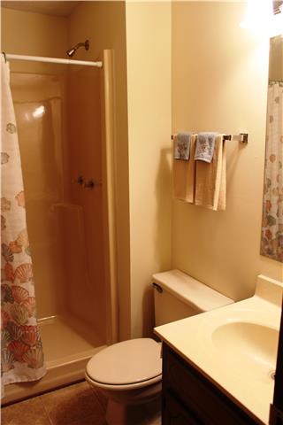2372 Grays Bend Road Centerville, TN 37033 - Photo 8 of 12 Master Bath