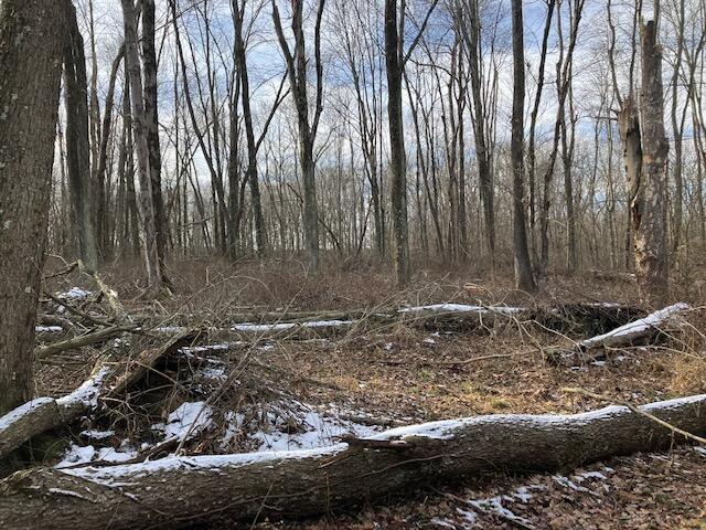 0 Hazel Dell Road Howard, OH 43028 - Photo 4 of 10 IMG_0549