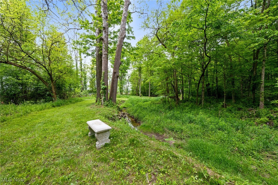 16364 Hallauer Road Oberlin, OH 44074 - Photo 44 of 48 walking path in back of property