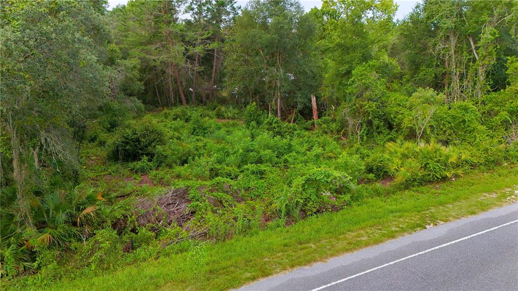42 County Road Paisley, FL 32767 - Photo 7 of 8 Gallery Image 7