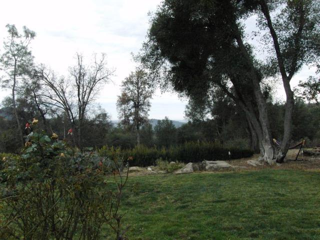 4536 Usona Road Mariposa, CA 95338 - Photo 24 of 54 Back yard. On clear days you can see all the way to valley floor and see distant city lights. Grass needs to be reseeded in some places.
