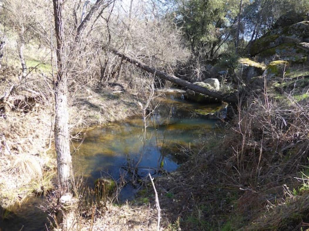 4536 Usona Road Mariposa, CA 95338 - Photo 27 of 54 home has the lovely Chowchilla River as 1/3 of it's border.