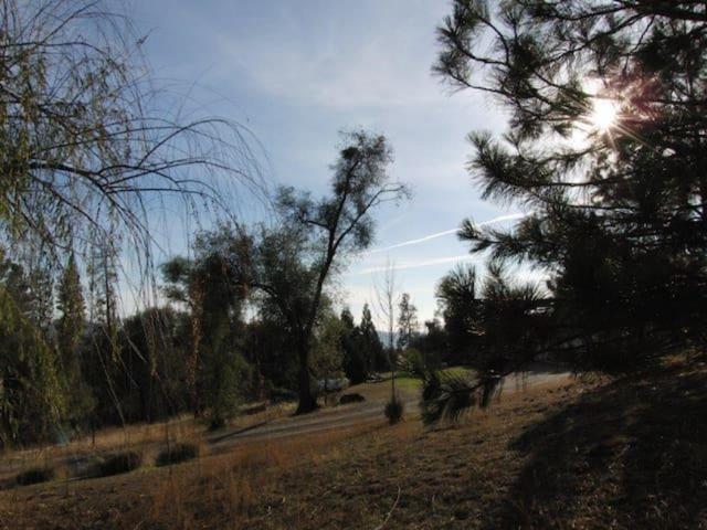 4536 Usona Road Mariposa, CA 95338 - Photo 35 of 54 Great View from second home.