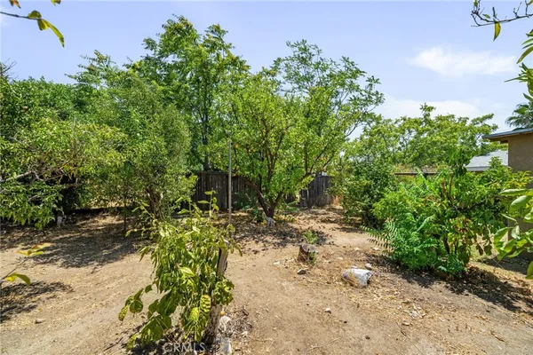 a view of a yard with plants and trees