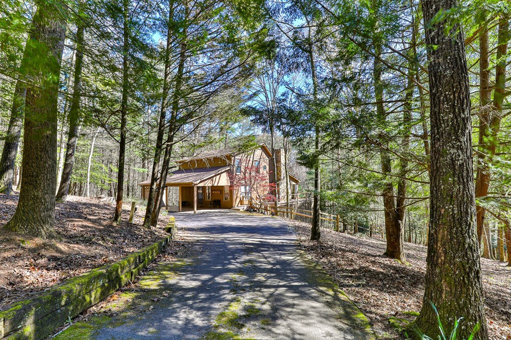141 Indian Cave Road Ellijay, GA 30536 - Photo 2 of 54 Gallery Image 2