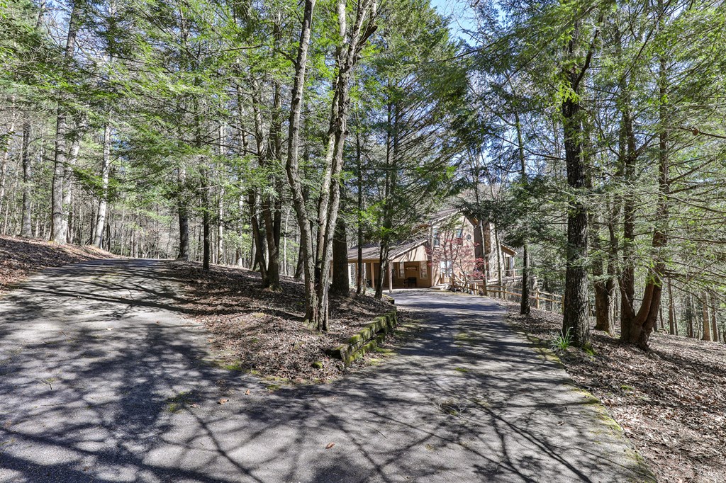 141 Indian Cave Road Ellijay, GA 30536 - Photo 35 of 54 Gallery Image 35