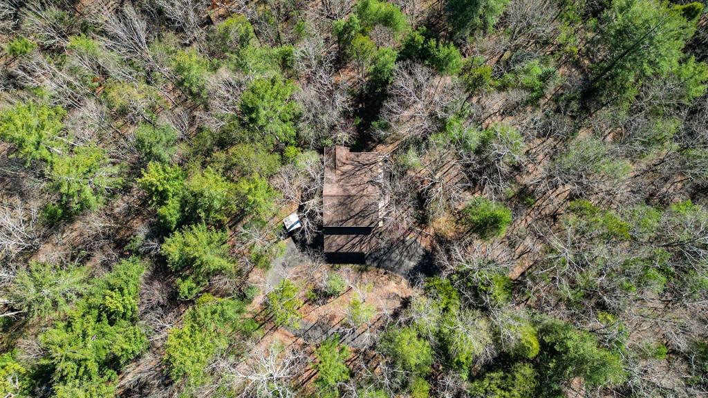 141 Indian Cave Road Ellijay, GA 30536 - Photo 4 of 54 Gallery Image 4