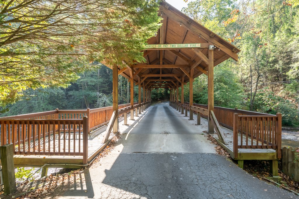 141 Indian Cave Road Ellijay, GA 30536 - Photo 45 of 54 Gallery Image 45