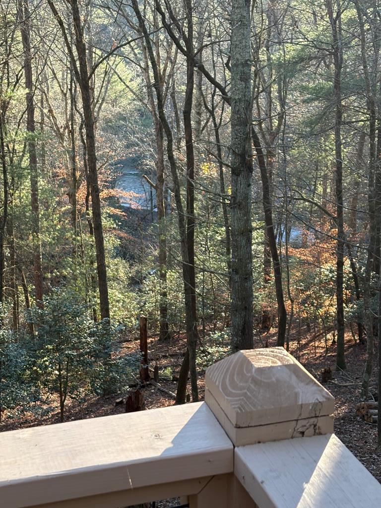141 Indian Cave Road Ellijay, GA 30536 - Photo 48 of 54 Gallery Image 48