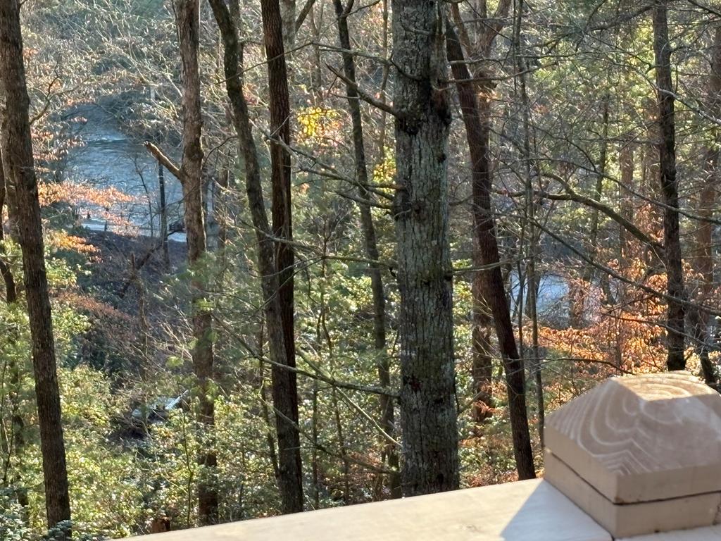 141 Indian Cave Road Ellijay, GA 30536 - Photo 50 of 54 Gallery Image 50