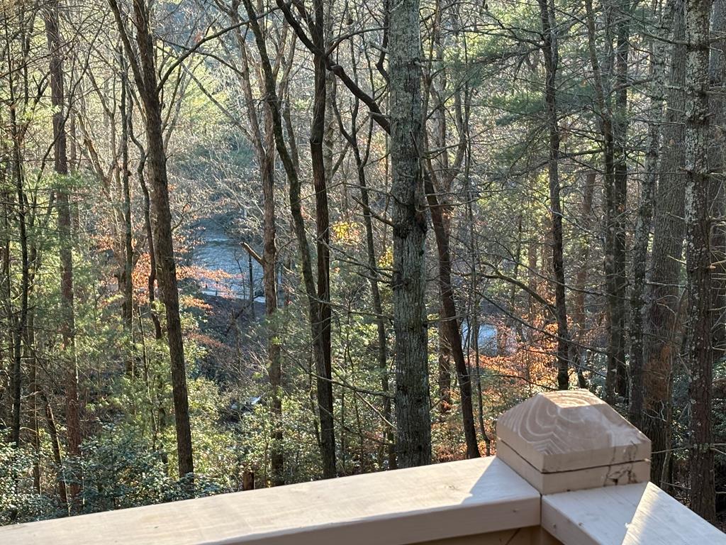 141 Indian Cave Road Ellijay, GA 30536 - Photo 51 of 54 Gallery Image 51