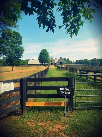 a view of a park with large trees