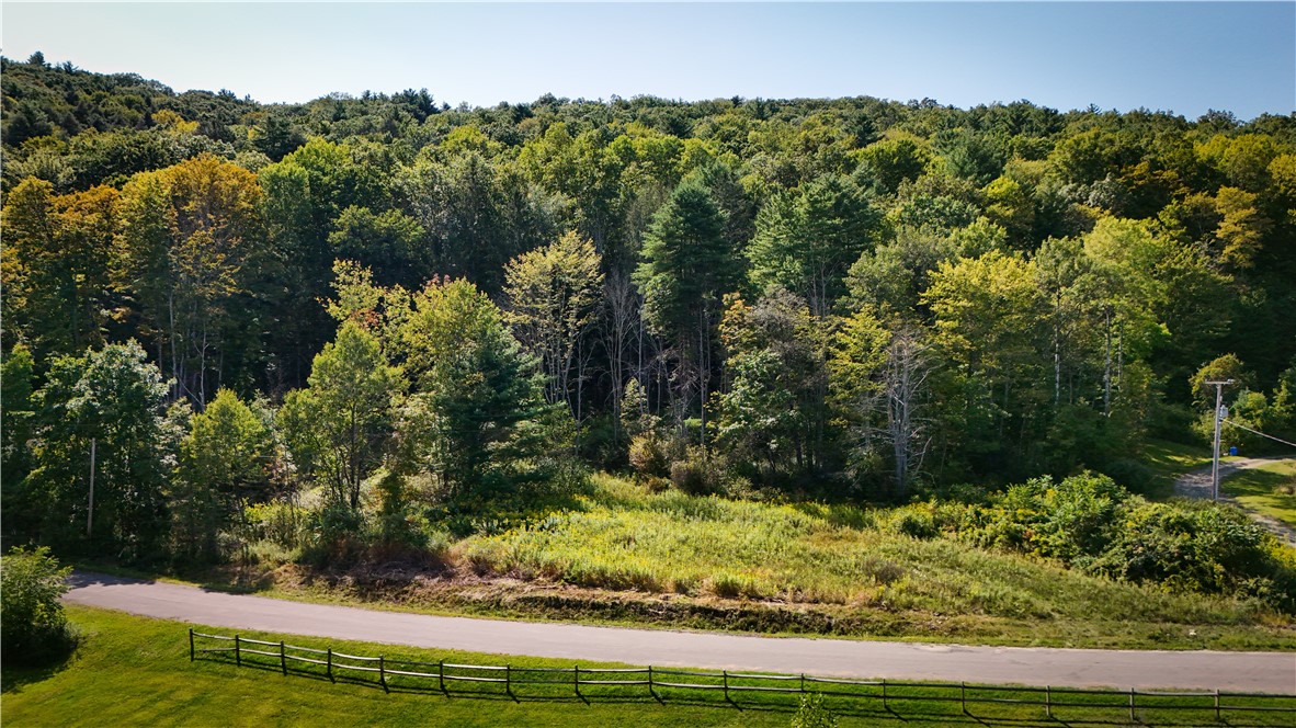 0 Worden Road Waverly, NY 14892 - Photo 24 of 42
