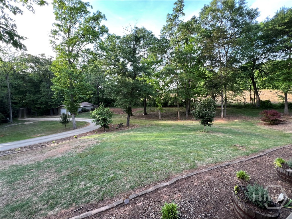 1260 Nelms Road Carnesville, GA 30521 - Photo 13 of 30