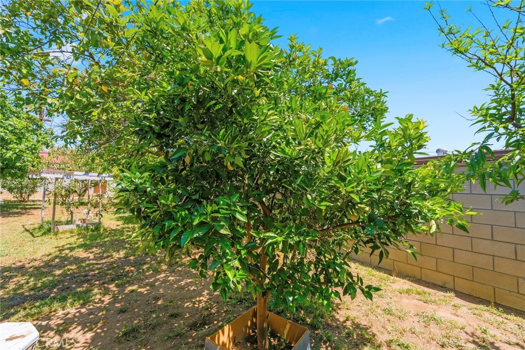 10363 Wagner Way Riverside, CA 92505 - Photo 21 of 26 a view of a yard with plants and large trees