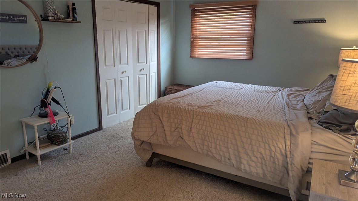 290 Leatherman Road Wadsworth, OH 44281 - Photo 17 of 43 Carpeted bedroom featuring a closet