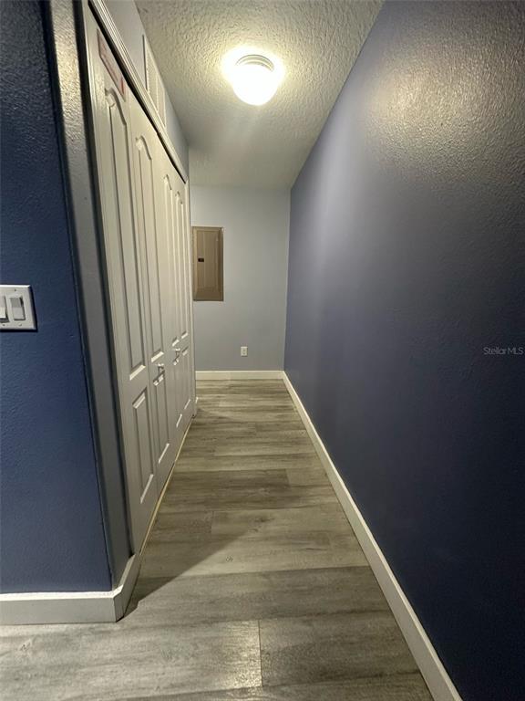 8973 Cat Palm Road Kissimmee, FL 34747 - Photo 14 of 35