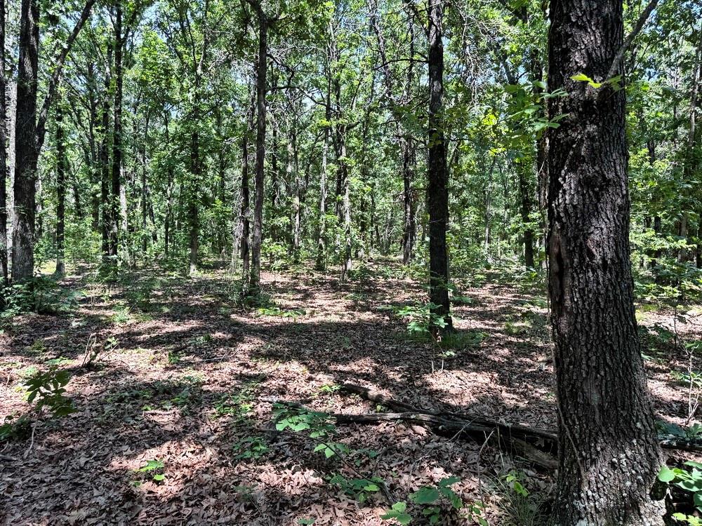 Tbd3 East 1550 Road Jerico Springs, MO 64756 - Photo 31 of 42
