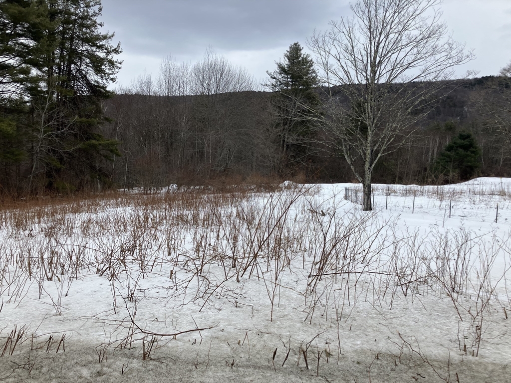 103 East Hawley Road Hawley, MA 01339 - Photo 28 of 34 a view of snow in between of two trees